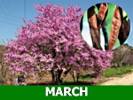 march