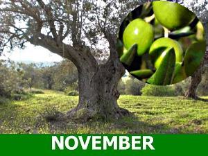 november